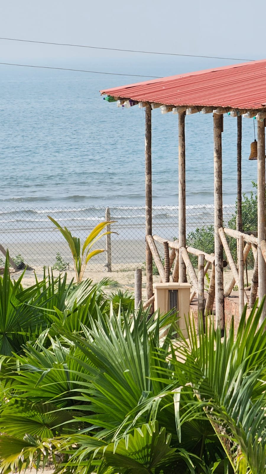 Tarkarli Beach near Royal Palms hotel Devbag Malvan with palm trees and golden sand