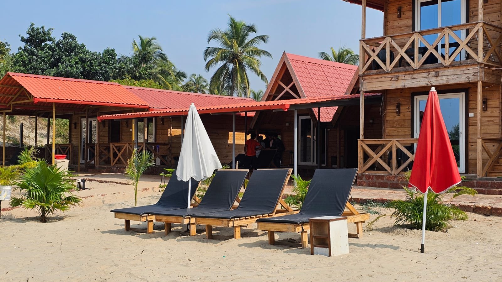 Hotel pool area with palm trees and lounge chairs in Malvan Sindhudurg