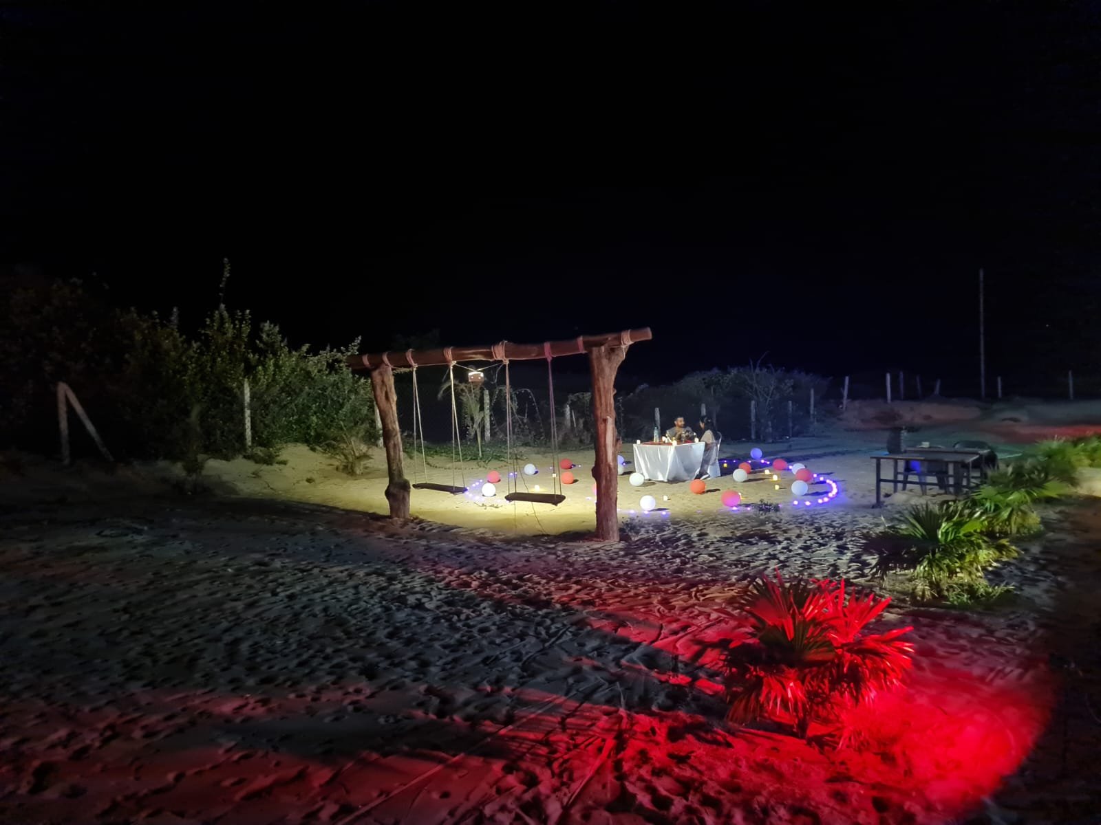 Royal Palms hotel resort exterior with palm trees Devbag Malvan